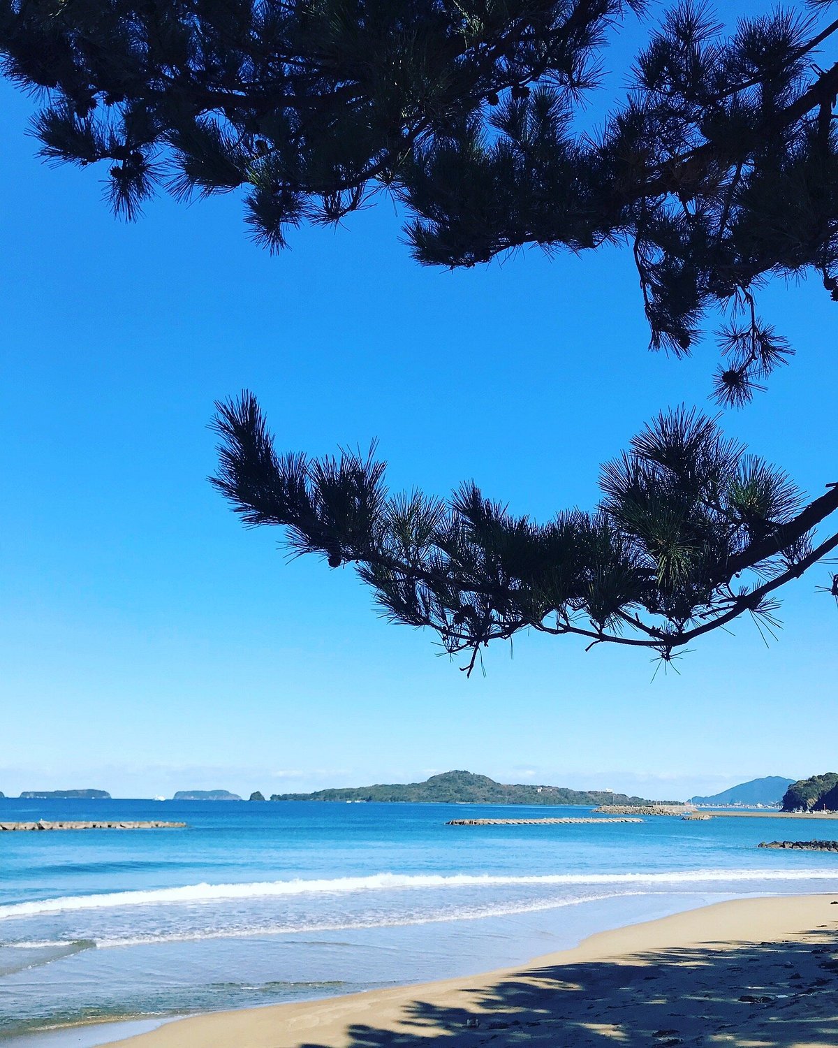 🏖️ 국화 해변(키쿠가하마) 이미지 8